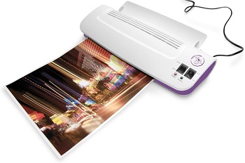 Purple Cows Hot and Cold Laminator