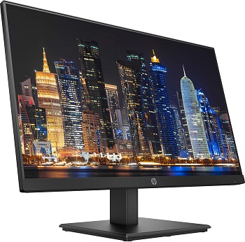 HP P244 Dual Monitor