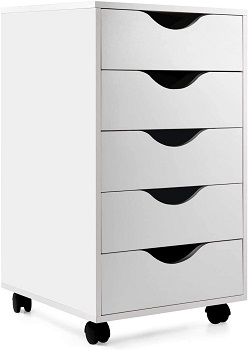 EDGEWOOD Mobile Filing Storage review