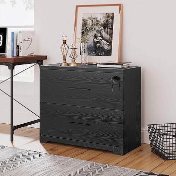 DEVAISE 2-Drawer Wood Lateral