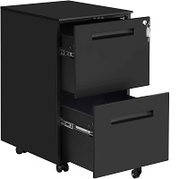 SONGMICS File Cabinet with 2 Drawers picks