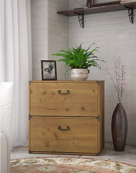 BEST 2-DRAWER Bush Furniture Filing Cabinet Retro