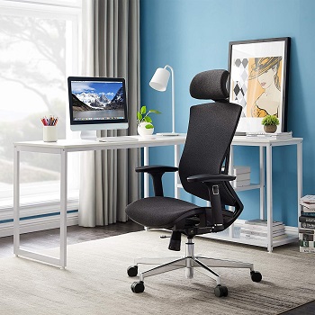 BEST FOR STUDY BACK POSTURE Tribesigns Chair