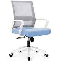 Best Back Support Cheap Ergonomic Chair Summary