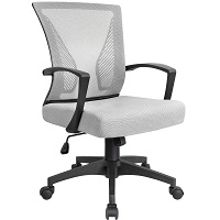 Best Computer Comfortable Cheap Chair Summary