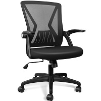 Best For Study Affordable Ergonomic Desk Chair Summary
