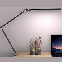 Niclum Desk Lamp Picks