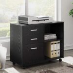 file cabinet with printer storage