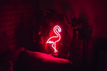 Amped & Co Flamingo Neon Desk Light