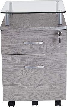 BEST 2-DRAWER DESIGNER FILING CABINET