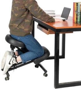 6 Best Chair For Lower Back And Hip Pain For Home & Office