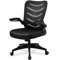 BEST CHEAP OFFICE CHAIR FOR SHORT PERSON WITH BACK PAIN Summary