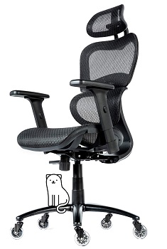 BEST ERGONOMIC COMFORTABLE CHAIR FOR BACK PAIN