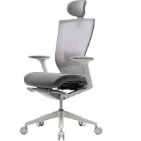 BEST HOME OFFICE CHAIRS FOR BAD BACKS Summary