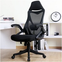 BEST WITH ARMRESTS HIGH BACK CHAIR Summary