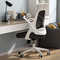 BEST WITH BACK SUPPORT OFFICE CHAIR FOR BACK PAIN Summary