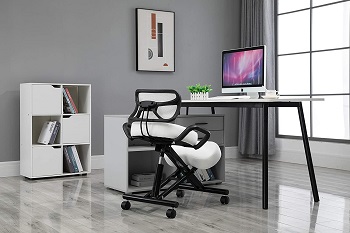 Perfect Perch PP-002 Adjustable Chair