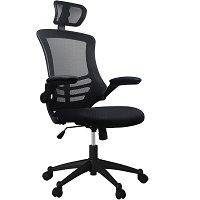 BEST FOR STUDY MESH CHAIR BACK SUPPORT Summary