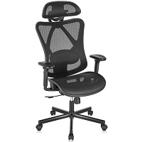 BEST WITH BACK SUPPORT WORK FROM HOME OFFICE CHAIR Summary