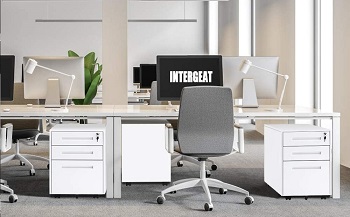 INTERGREAT Mobility Cabinet for ClosetOffice