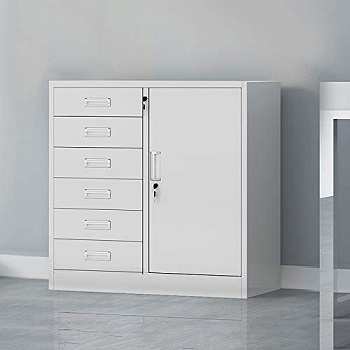 PLHMS Metal File Cabinet