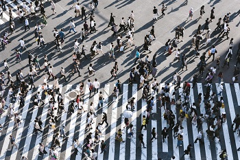 crowd of people