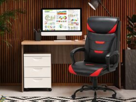 office-chair-with-lumbar-and-neck-support