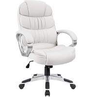 BEST OF BEST MOST COMFORTABLE TASK CHAIR Summary