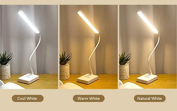 BEST STUDY PORTABLE READING LAMP