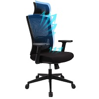 BEST FOR STUDY ERGONOMIC CHAIR FOR TALL PERSON Summary