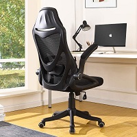 BEST TASK ERGONOMIC CHAIR WITH ADJUSTABLE ARMS Summary