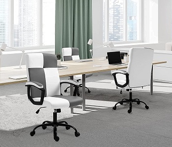 BEST WHITE AND GREY ERGONOMIC OFFICE CHAIR
