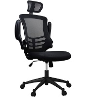 BEST WITH BACK SUPPORT BLACK EXECUTIVE CHAIR Summary