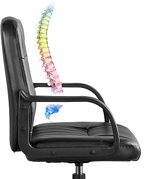 BEST WITH BACK SUPPORT OFFICE CHAIR FOR CARPET
