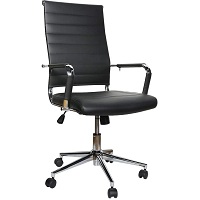 BEST WITH BACK SUPPORT VALUE ERGONOMIC OFFICE CHAIR Summary