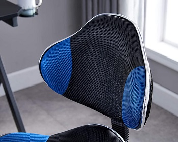 JJS Executive Office Chair