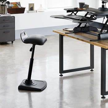 Varidesk Ergonomic Desk Chair
