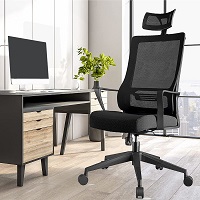 BEST ERGONOMIC LUMBAR SUPPORT CHAIR FOR HOME Summary