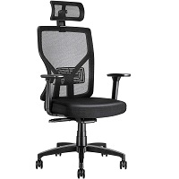 BEST TALL HOME OFFICE CHAIR WITH LUMBAR SUPPORT Summary