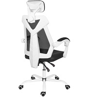 BEST WITH ARMRESTS LUMBAR SUPPORT CHAIR FOR HOME Summary