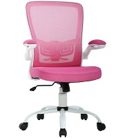 BEST WITH BACK SUPPORT PINK EXECUTIVE CHAIR Summary