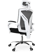 BEST WITH BACK SUPPORT RECLINING MESH OFFICE CHAIR Summary
