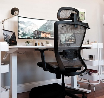 FlexiSpot OC3B Task Chair