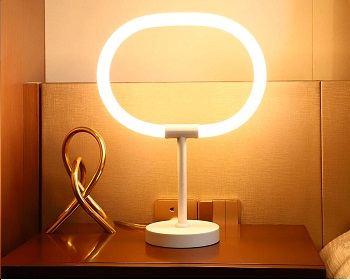 Modern LED Table Lamp for Bedroom Living