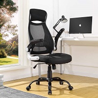 BEST ARMRESTS TASK CHAIR WITH LUMBAR SUPPORT Summary