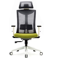 BEST ERGONOMIC OFFICE CHAIR WITH ADJUSTABLE ARMS AND LUMBAR SUPPORT Summary