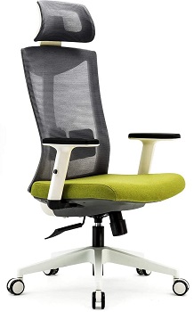 BEST ERGONOMIC OFFICE CHAIR WITH ADJUSTABLE ARMS AND LUMBAR SUPPORT