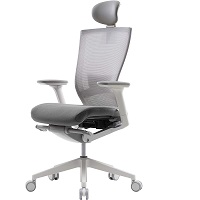 BEST ERGONOMIC OFFICE CHAIR WITH ADJUSTABLE LUMBAR SUPPORT Summary