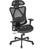 BEST EXECUTIVE CHAIR WITH ADJUSTABLE LUMBAR SUPPORT Summary