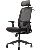BEST FOR STUDY OFFICE CHAIR WITH ADJUSTABLE ARMS AND LUMBAR SUPPORT Summary
